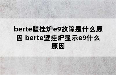 berte壁挂炉e9故障是什么原因 berte壁挂炉显示e9什么原因